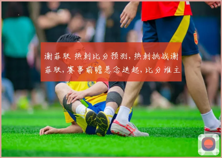 谢菲联 热刺比分预测,热刺挑战谢菲联,赛事前瞻悬念迭起,比分谁主沉浮