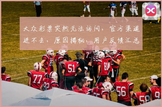 大众彩票突然无法访问，官方渠道进不去，原因揭秘，用户反馈汇总三重奏