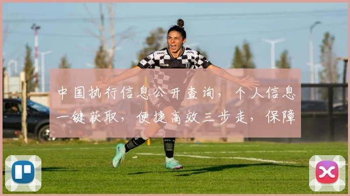 中国执行信息公开查询，个人信息一键获取，便捷高效三步走，保障隐私安全，查询无忧。