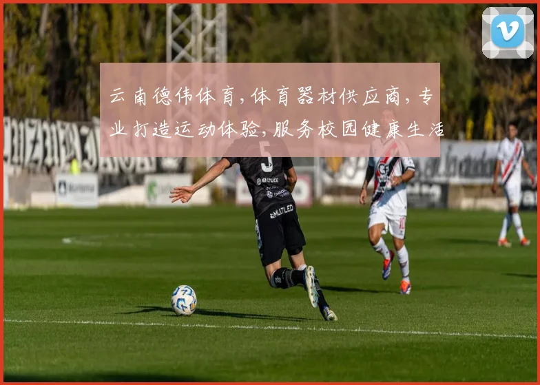 云南德伟体育,体育器材供应商,专业打造运动体验,服务校园健康生活