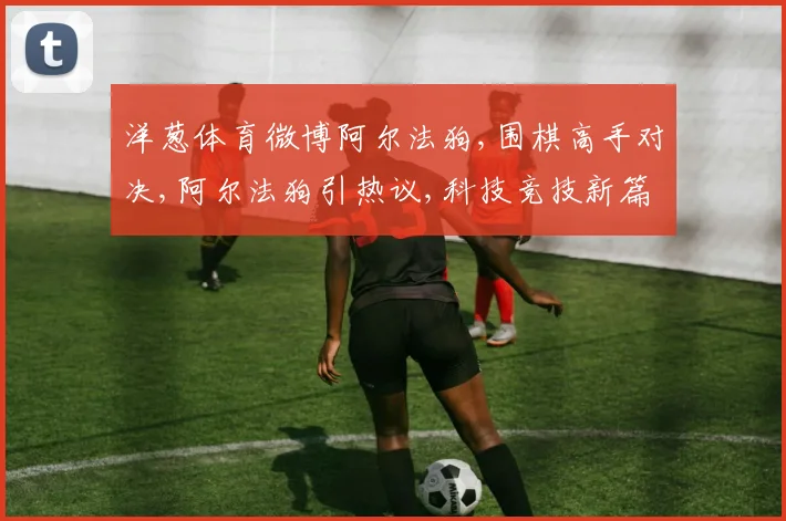 洋葱体育微博阿尔法狗,围棋高手对决,阿尔法狗引热议,科技竞技新篇章